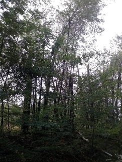 IMG 20180922 163954