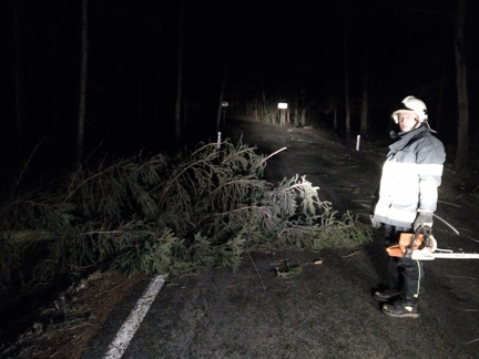 IMG 20190311 005304968 -- Odstranění spadlých stromů z komunikace č.325 v KÚ Mostek